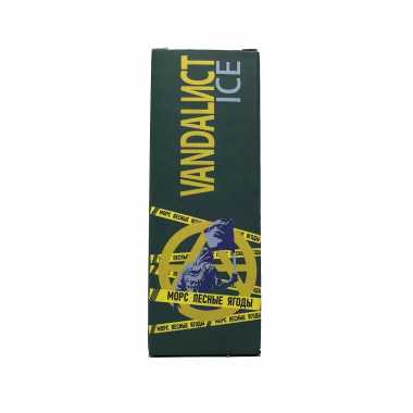 Vandalист Ice SALT 30ml - Морс Лесные Ягоды N