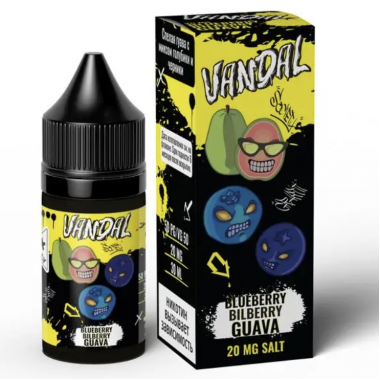 VANDAL 30ml - Blueberry Bilberry Guava N
