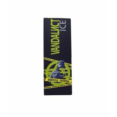 Vandalист Ice SALT 30ml - Виноград Ежевика S