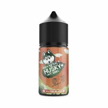 Husky Mint Series SALT 30ml - Water Place N