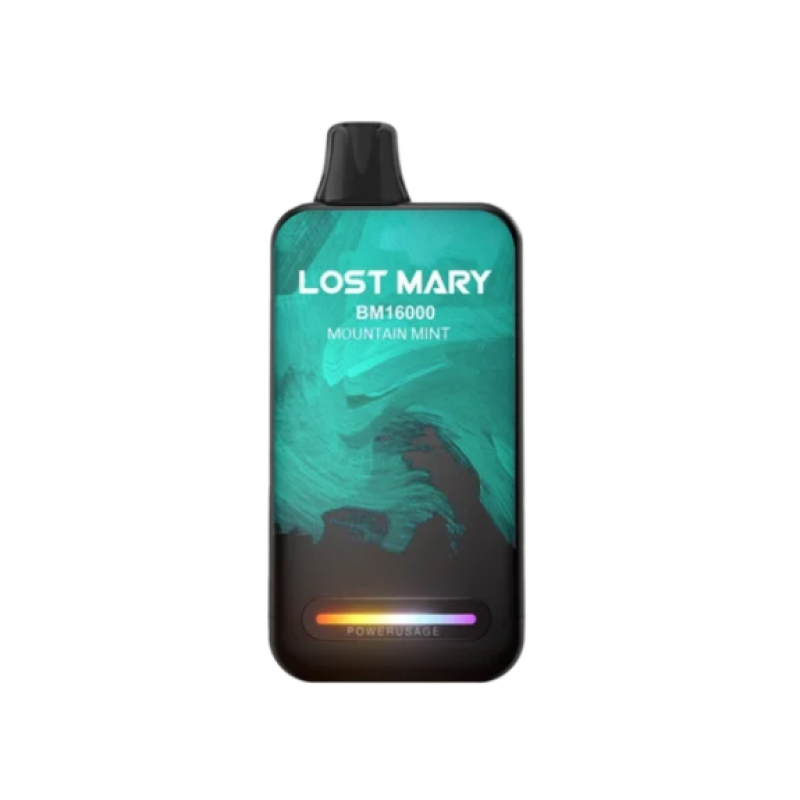 Фото и внешний вид — Lost Mary BM 16000 - Горная Мята